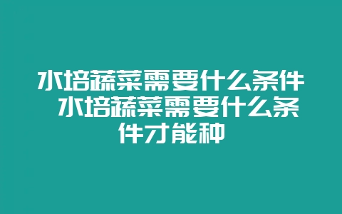 水培蔬菜需要什么条件 水培蔬菜需要什么条件才能种-会东网
