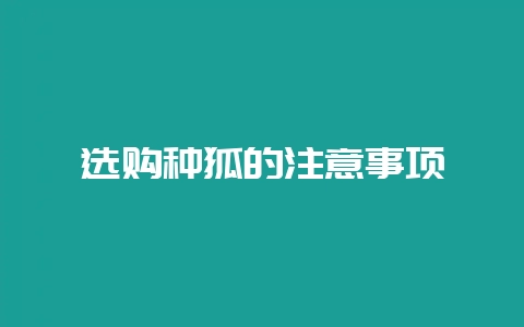 选购种狐的注意事项-会东网