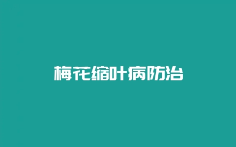 梅花缩叶病防治-会东网