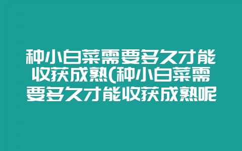 种小白菜需要多久才能收获成熟(种小白菜需要多久才能收获成熟呢)-会东网