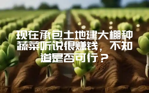 现在承包土地建大棚种蔬菜听说很赚钱，不知道是否可行？-会东网