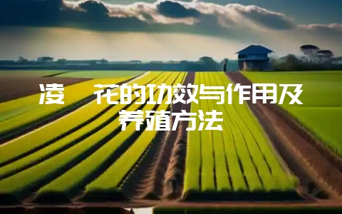 凌霄花的功效与作用及养殖方法-会东网