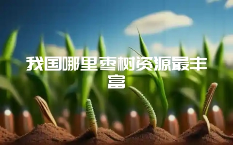 我国哪里枣树资源最丰富-会东网