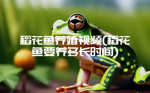 稻花鱼养殖视频(稻花鱼要养多长时间)-会东网