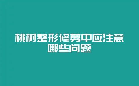 桃树整形修剪中应注意哪些问题-会东网