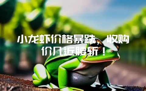 小龙虾价格暴跌，收购价几近腰斩！-会东网