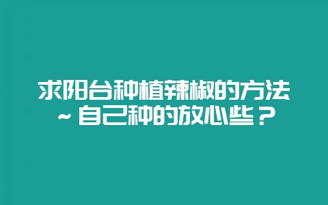 求阳台种植辣椒的方法～自己种的放心些？-会东网