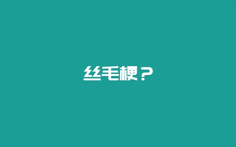 丝毛梗？-会东网