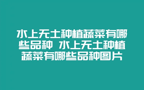 水上无土种植蔬菜有哪些品种 水上无土种植蔬菜有哪些品种图片-会东网