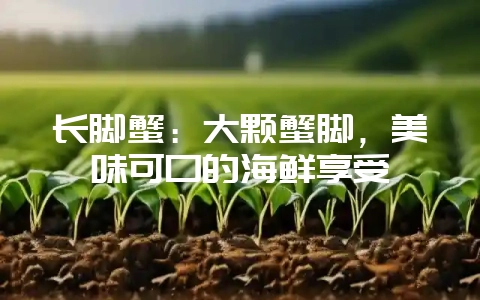 长脚蟹：大颗蟹脚，美味可口的海鲜享受-会东网