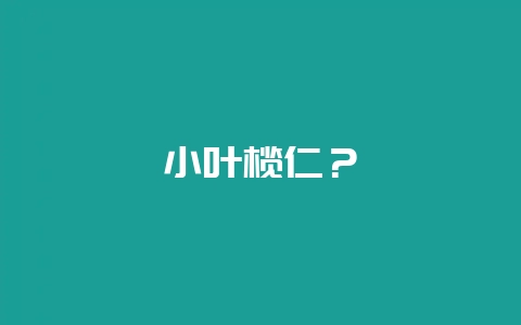 小叶榄仁?-会东网