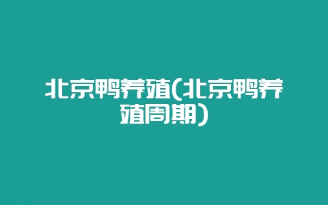北京鸭养殖(北京鸭养殖周期)-会东网