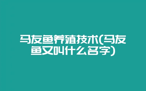 马友鱼养殖技术(马友鱼又叫什么名字)-会东网