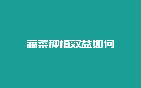 蔬菜种植效益如何-会东网