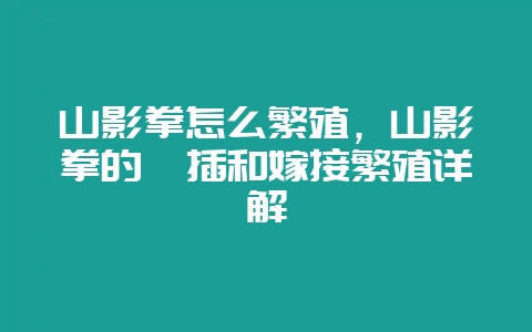 山影拳怎么繁殖，山影拳的扦插和嫁接繁殖详解-会东网