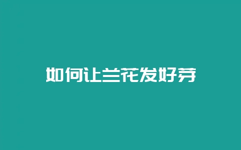 如何让兰花发好芽-会东网