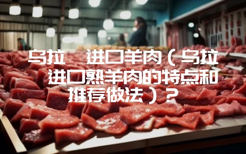乌拉圭进口羊肉（乌拉圭进口熟羊肉的特点和推荐做法）？-会东网