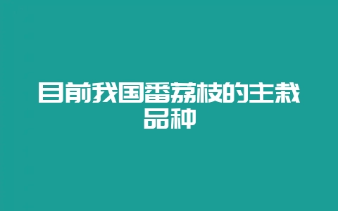 目前我国番荔枝的主栽品种-会东网