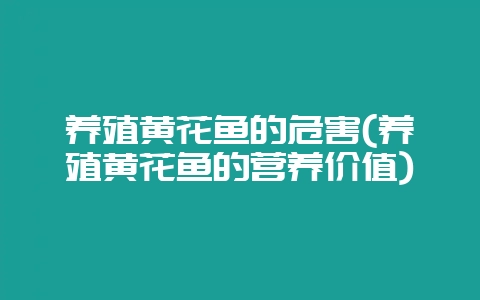 养殖黄花鱼的危害(养殖黄花鱼的营养价值)-会东网