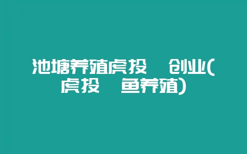 池塘养殖虎头鲨创业(虎头鲨鱼养殖)-会东网
