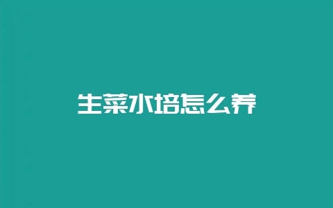 生菜水培怎么养-会东网