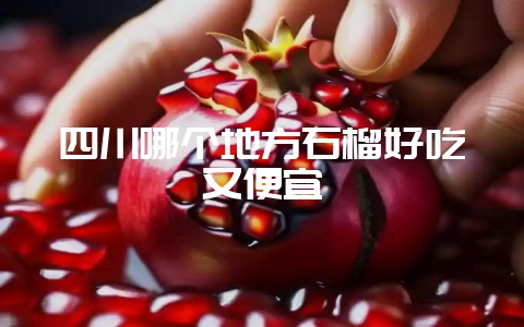 四川哪个地方石榴好吃又便宜-会东网