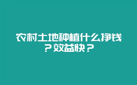 农村土地种植什么挣钱？效益快？-会东网