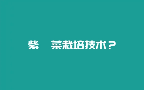 紫苋菜栽培技术？-会东网