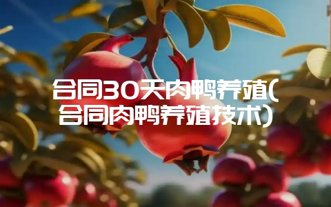 合同30天肉鸭养殖(合同肉鸭养殖技术)-会东网