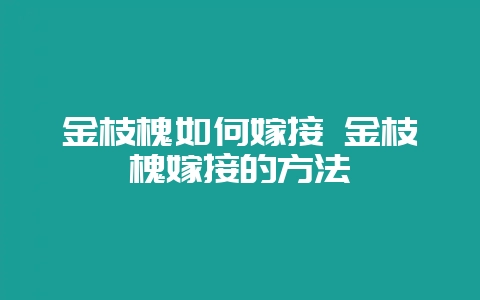 金枝槐如何嫁接 金枝槐嫁接的方法-会东网