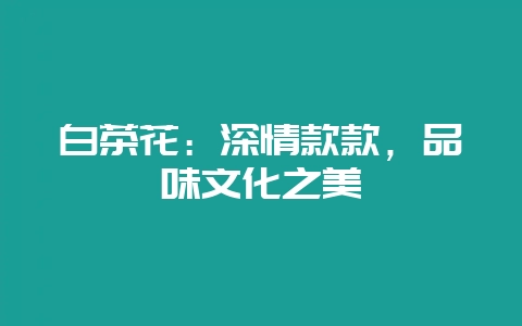 白茶花：深情款款，品味文化之美-会东网