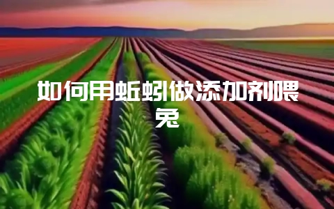 如何用蚯蚓做添加剂喂兔-会东网