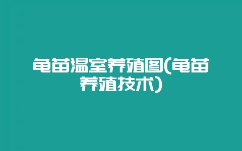 龟苗温室养殖图(龟苗养殖技术)-会东网
