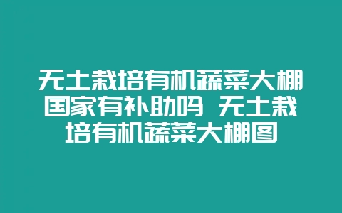 无土栽培有机蔬菜大棚国家有补助吗 无土栽培有机蔬菜大棚图-会东网