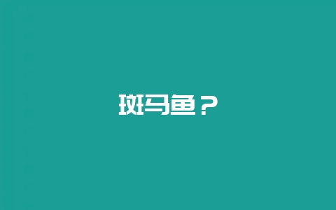 斑马鱼？-会东网