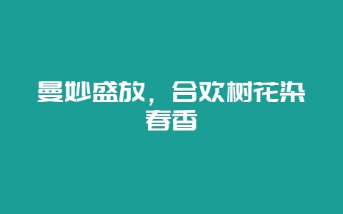 曼妙盛放,合欢树花染春香-会东网