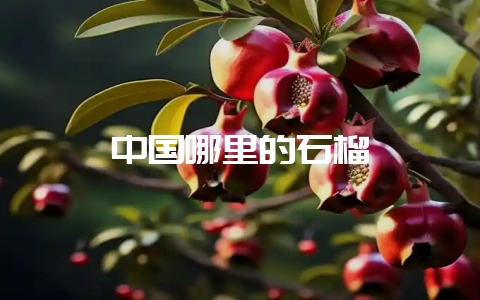 中国哪里的石榴-会东网