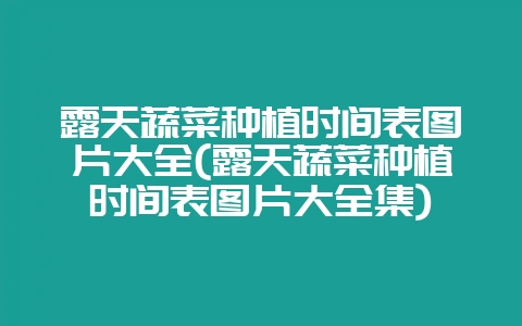 露天蔬菜种植时间表图片大全(露天蔬菜种植时间表图片大全集)-会东网