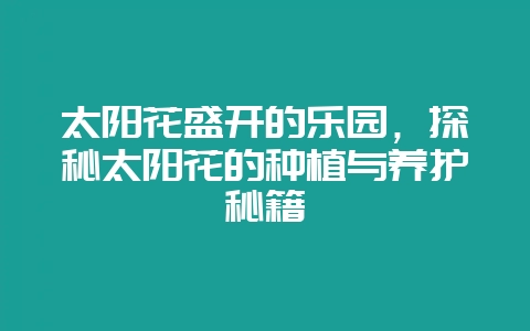 太阳花盛开的乐园，探秘太阳花的种植与养护秘籍-会东网