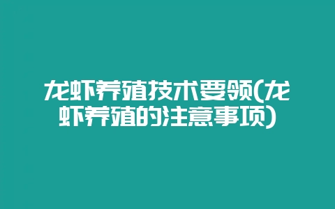 龙虾养殖技术要领(龙虾养殖的注意事项)-会东网