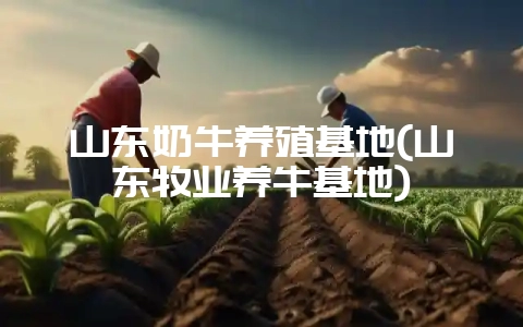 山东奶牛养殖基地(山东牧业养牛基地)-会东网
