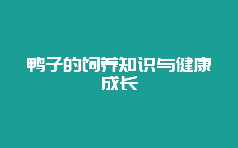 鸭子的饲养知识与健康成长-会东网