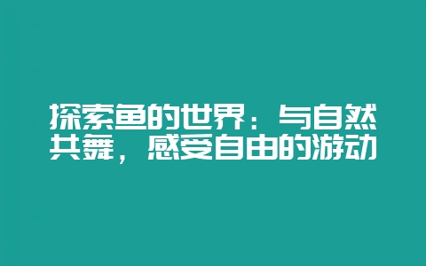 探索鱼的世界：与自然共舞，感受自由的游动-会东网