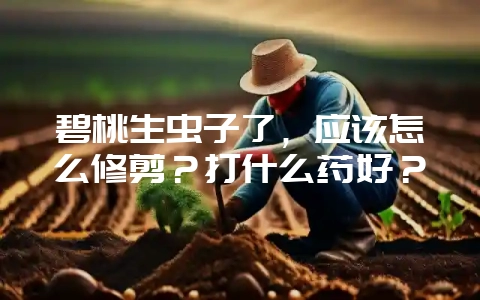 碧桃生虫子了，应该怎么修剪？打什么药好？-会东网
