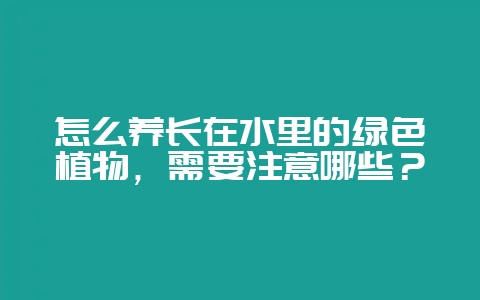 怎么养长在水里的绿色植物，需要注意哪些？-会东网