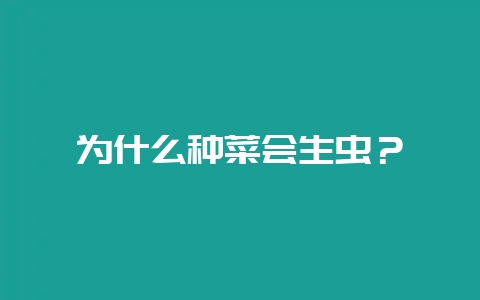 为什么种菜会生虫？-会东网