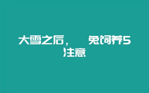 大雪之后,獭兔饲养5注意-会东网