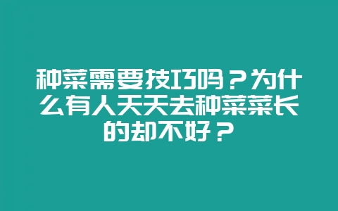 种菜需要技巧吗?为什么有人天天去种菜菜长的却不好?-会东网