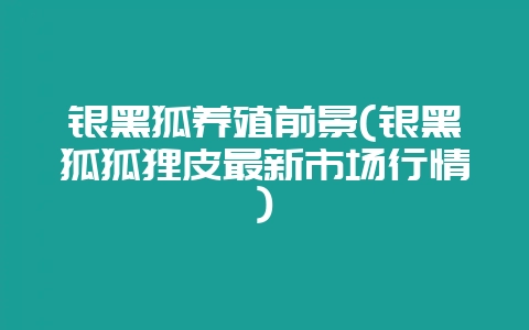 银黑狐养殖前景(银黑狐狐狸皮最新市场行情)-会东网