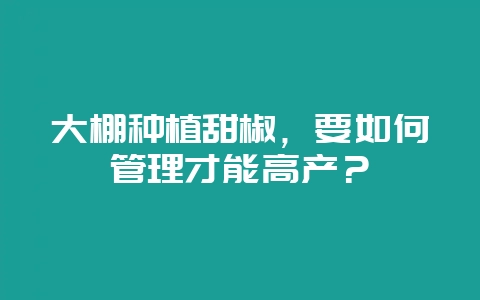 大棚种植甜椒，要如何管理才能高产？-会东网